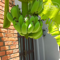 фото из отзыва ID 2646962