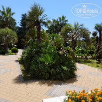 фото из отзыва ID 2646958