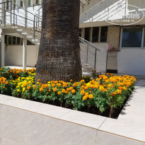 фото из отзыва ID 2646958