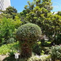 фото из отзыва ID 2646958