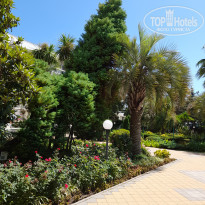 фото из отзыва ID 2646958