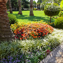 фото из отзыва ID 2646958