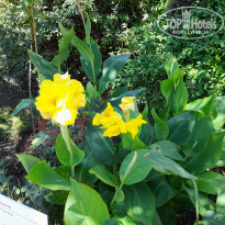 фото из отзыва ID 2646958