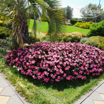 фото из отзыва ID 2646958