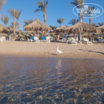 фото из отзыва ID 2646990