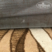 фото из отзыва ID 2647028