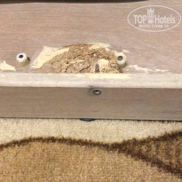 фото из отзыва ID 2647028