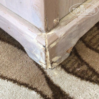 фото из отзыва ID 2647028