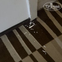 фото из отзыва ID 2647028