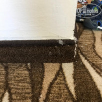 фото из отзыва ID 2647028