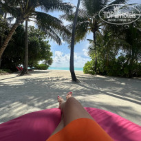 фото из отзыва ID 2647034