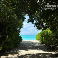 фото из отзыва ID 2647034