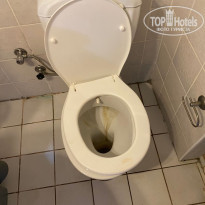 фото из отзыва ID 2647070