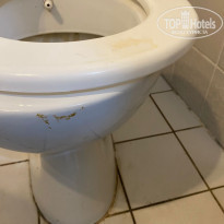 фото из отзыва ID 2647070