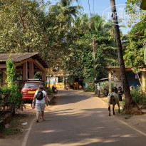 фото из отзыва ID 2647072