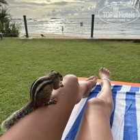 фото из отзыва ID 2647018