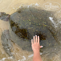 фото из отзыва ID 2647018