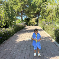 фото из отзыва ID 2647201