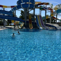 фото из отзыва ID 2647201