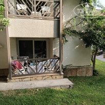 фото из отзыва ID 2647208