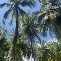 фото из отзыва ID 2647234