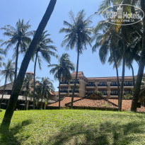 фото из отзыва ID 2647234