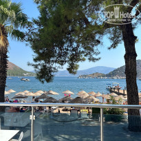 фото из отзыва ID 2647244