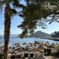 фото из отзыва ID 2647244