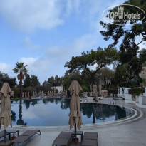 фото из отзыва ID 2647300