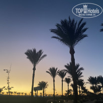 фото из отзыва ID 2647320