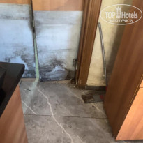 фото из отзыва ID 2647326