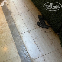 фото из отзыва ID 2647326