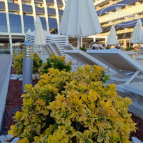 фото из отзыва ID 2647315