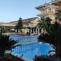 фото из отзыва ID 2647352