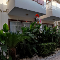 фото из отзыва ID 2647352