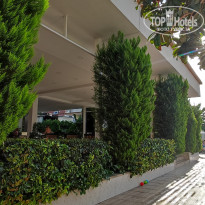 фото из отзыва ID 2647352