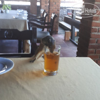 фото из отзыва ID 2647391