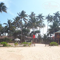 фото из отзыва ID 2647391