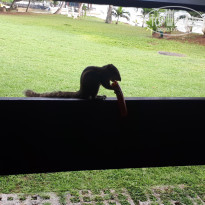 фото из отзыва ID 2647391