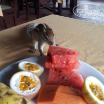 фото из отзыва ID 2647391