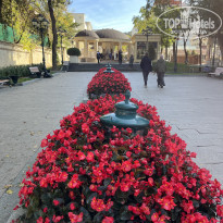 фото из отзыва ID 2647396