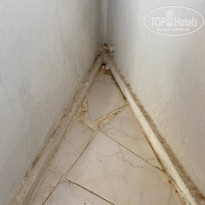 фото из отзыва ID 2647418