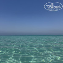 фото из отзыва ID 2647442