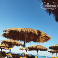 фото из отзыва ID 2647444