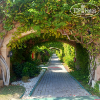 фото из отзыва ID 2647458