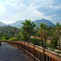 фото из отзыва ID 2647555