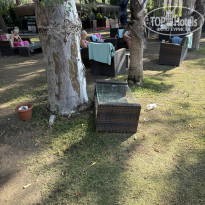 фото из отзыва ID 2647609