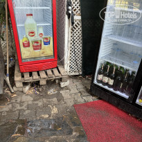 фото из отзыва ID 2647609