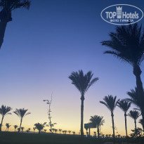 фото из отзыва ID 2647630