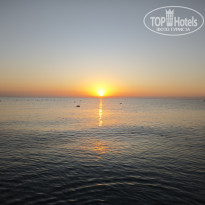 фото из отзыва ID 2647668